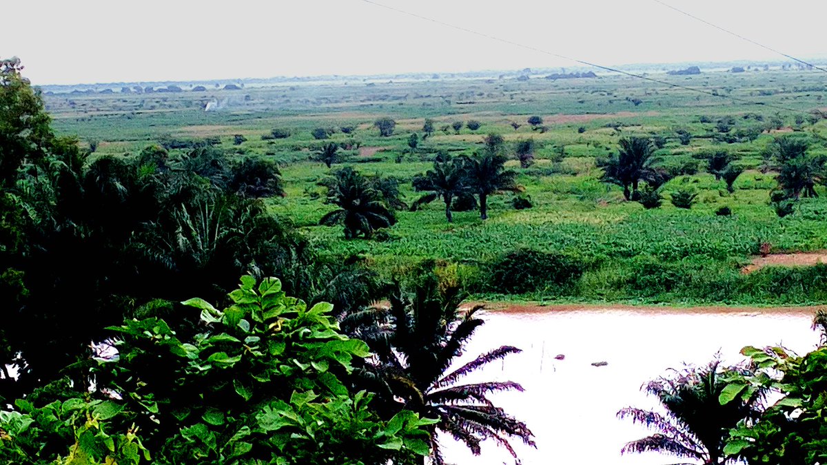 Bénin: la réserve de biosphère de la Basse vallée de l’Ouémé inscrite à la réserve de l’UNESCO